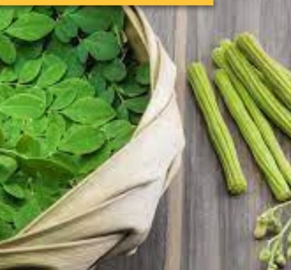 How to cook moringa leaves indian style