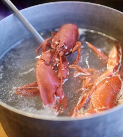 How to cook lobster at home indian style