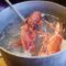 How to cook lobster at home indian style