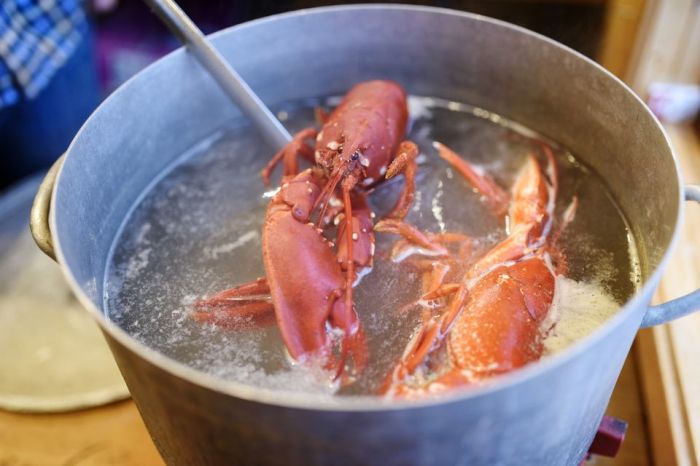 How to cook lobster at home indian style