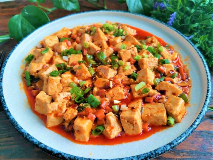 Tofu eggplant szechuan