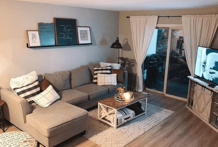 How to decorate living room on a budget