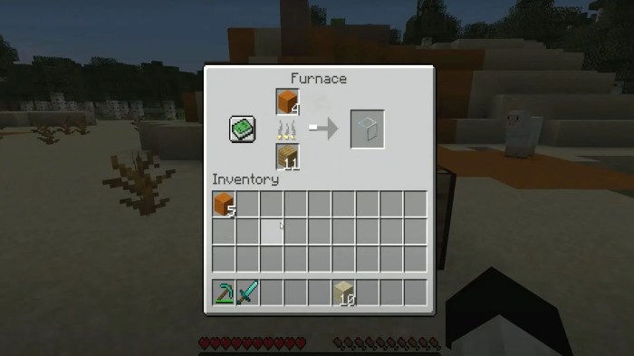 How to decorate windows minecraft