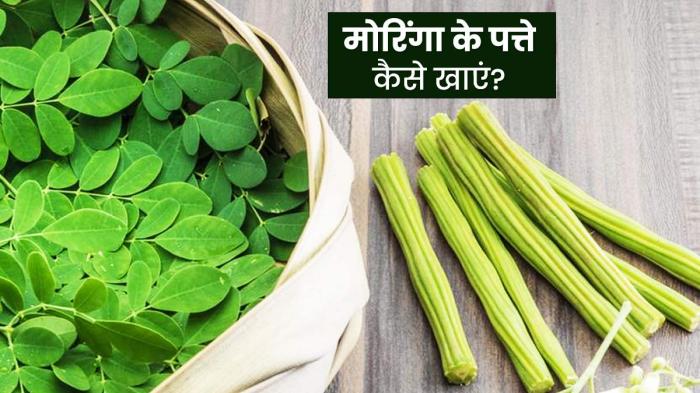 How to cook moringa leaves indian style