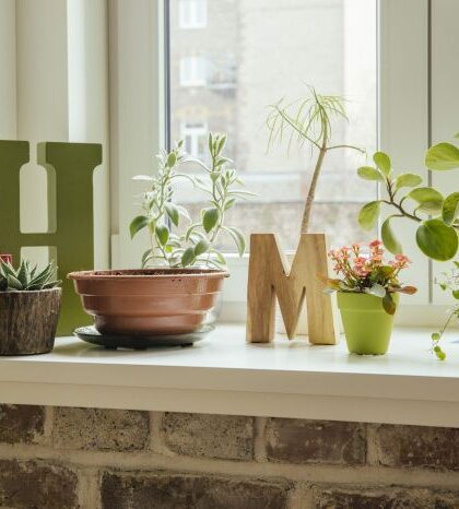 How to decorate a window sill