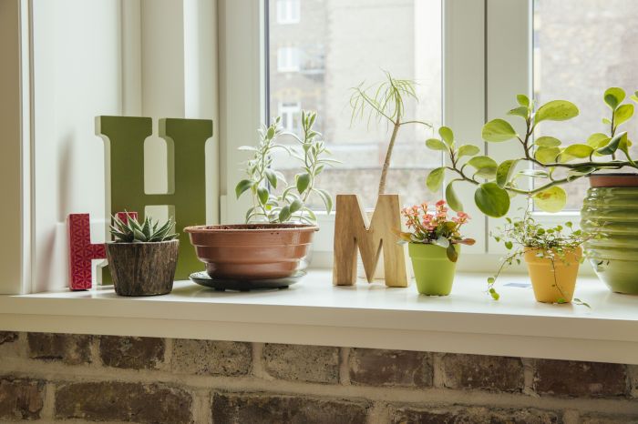 How to decorate a window sill